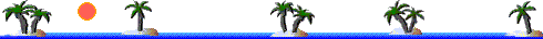 Message Bottle, with Sandy Beach and Palm Trees