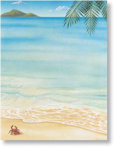 Message in a Bottle Tropical Srcoll Paper