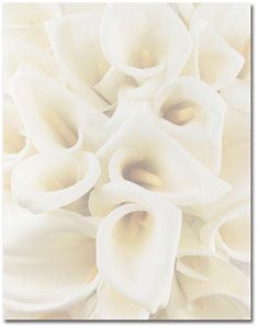 Calla Lilie Paper for Message in a Bottle
