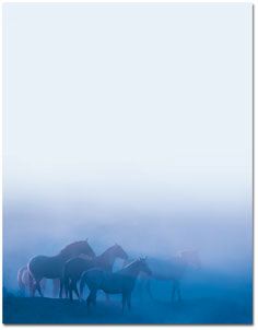 Meessage Bottle Wild Horses scroll paper