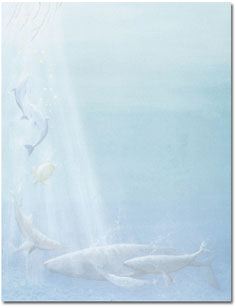 Deep Sea Dolphin paper