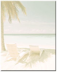 Palm Tree and Beach scroll for our Message in a Bottle