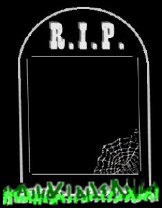 Rest in Peace paper for Message in a Bottle scrolls